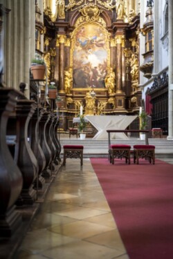 Hochzeit 2021
Korni's GesbR - www.kornis.at | Roman Johannes Kornfeld Pia & Dominik