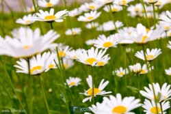 Hochzeit 2018
Korni's GesbR - www.kornis.at | Roman Johannes Kornfeld Victoria & Manuel